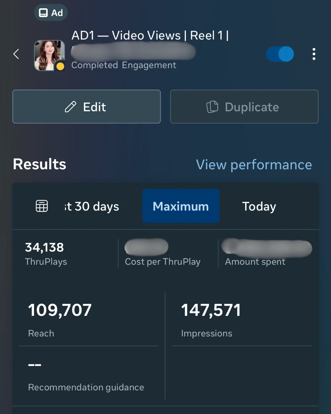 Meta Ads result